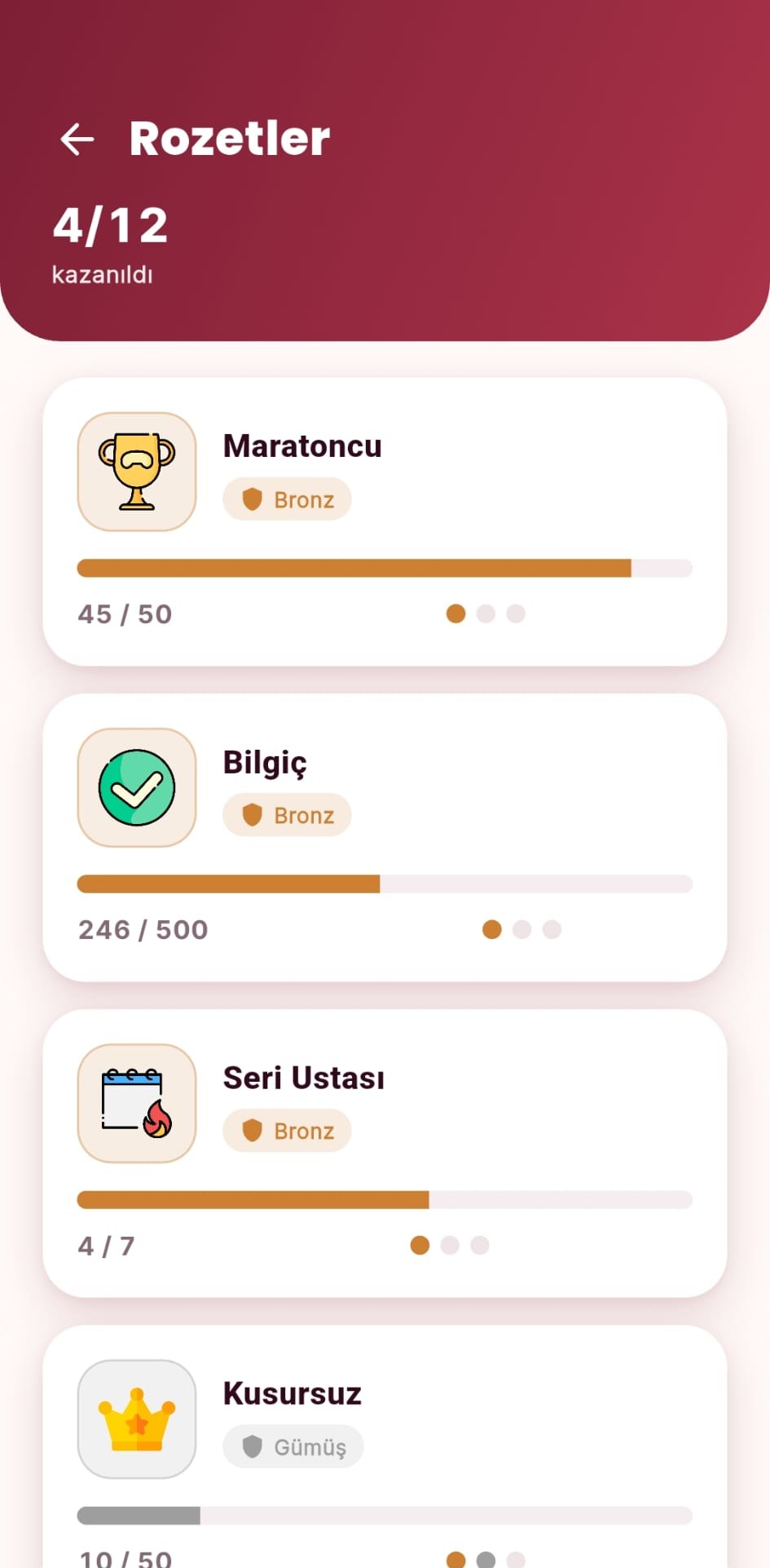 BilQ rozetler