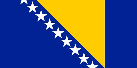 Bosna-Hersek bayrağı