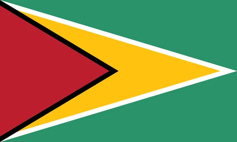 Guyana bayrağı