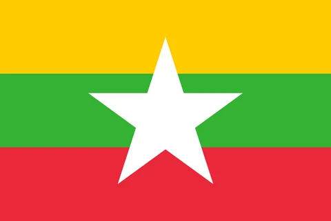 42. sorudaki bayrak