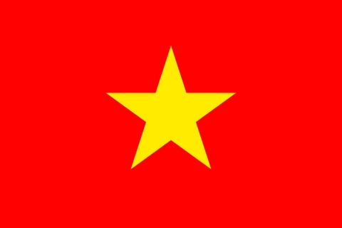 Vietnam bayrağı
