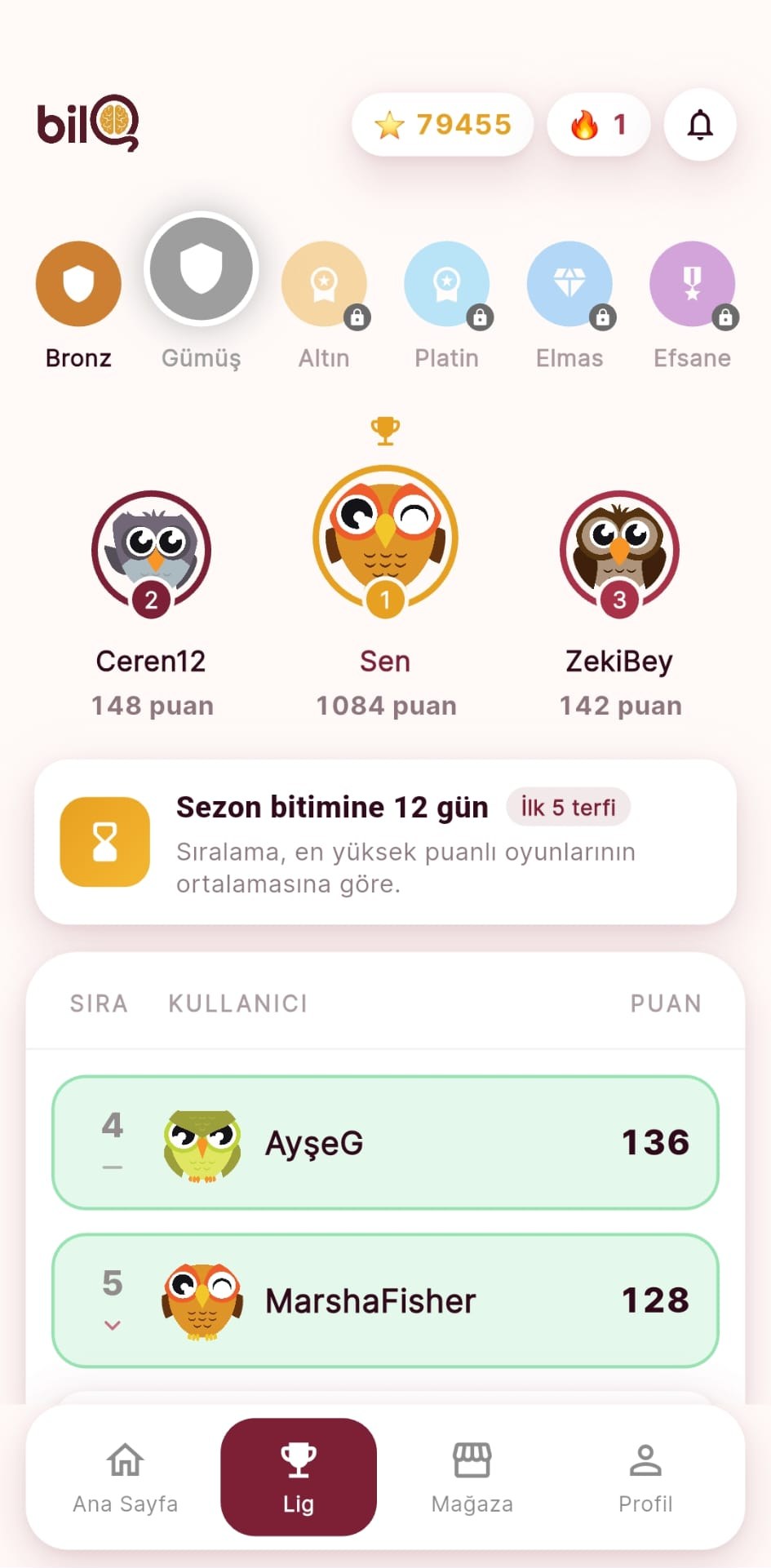 BilQ lig sıralaması