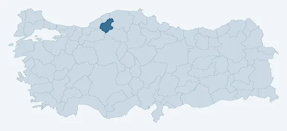 31. sorunun görseli
