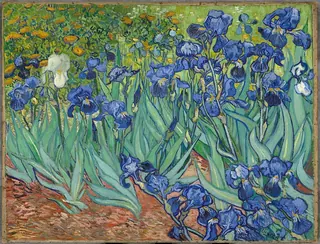 İrisler — Vincent van Gogh