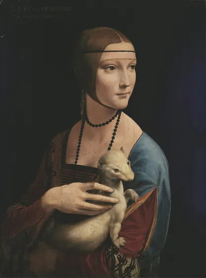 17. sorunun görseli
